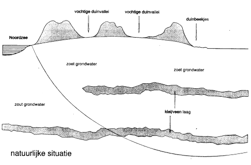 doorsnede hydrologisch systeem